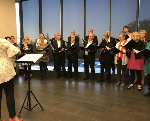 Mynd tónleikar 2017